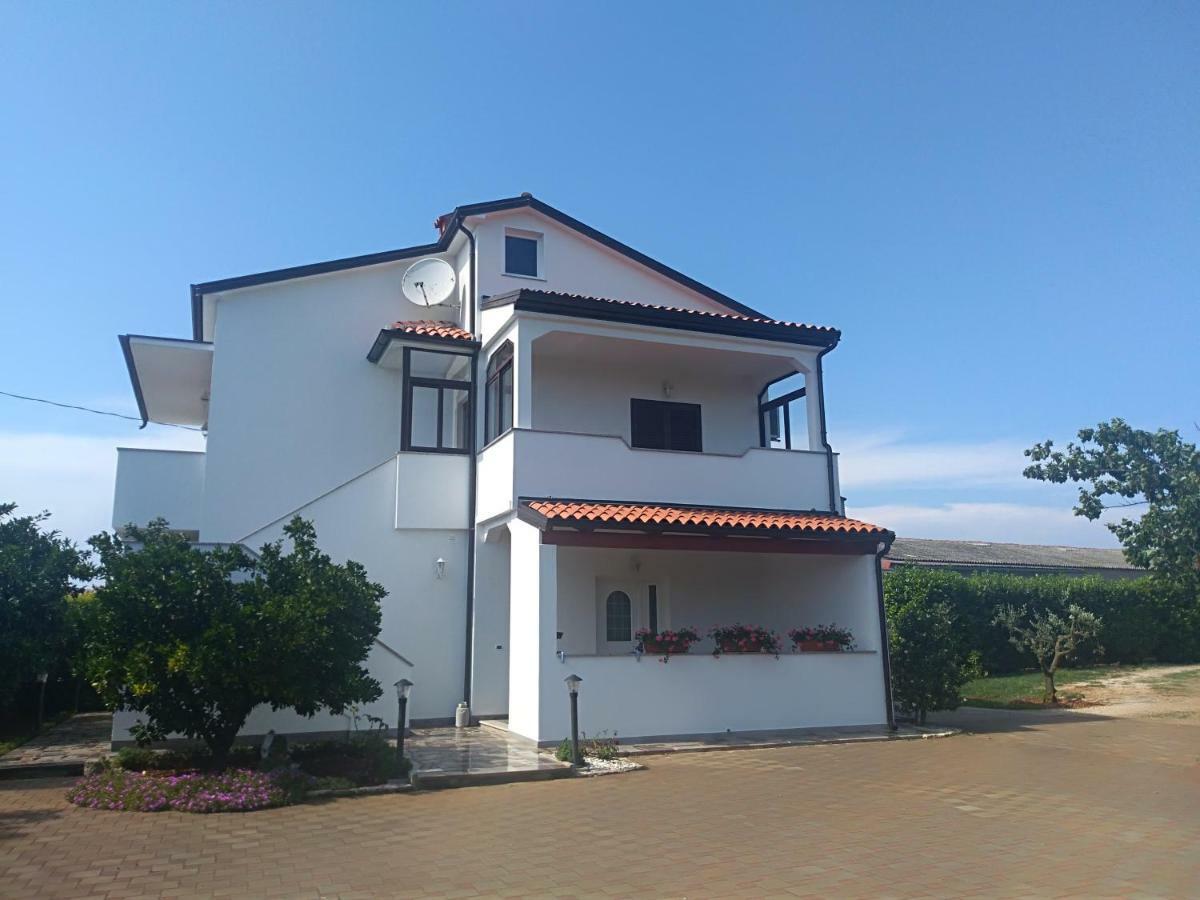 Apartment Ivana Novigrad  Luaran gambar
