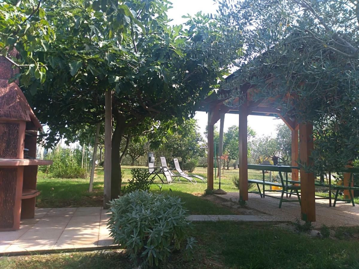 Apartment Ivana Novigrad  Luaran gambar