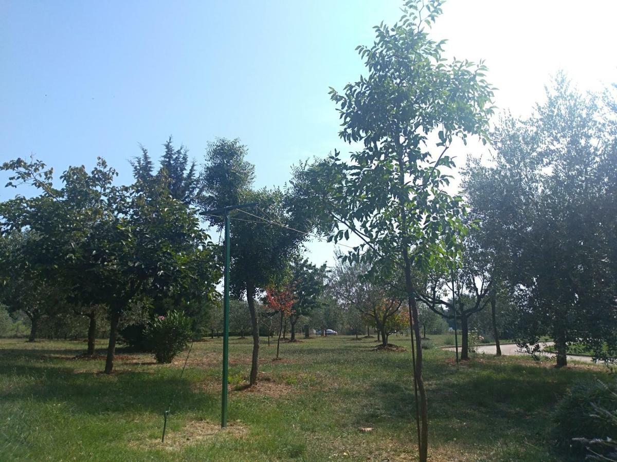 Apartment Ivana Novigrad  Luaran gambar